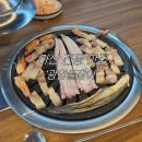 진동돌장어 이미지