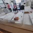뉴아모르 산후조리원 이미지