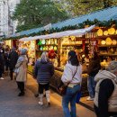 유니언버드 이미지