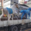 말조형물(동상) 이미지