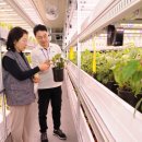 기업농장 이미지