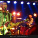 도그럭스 이미지