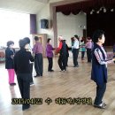 실버로빅(B) 이미지