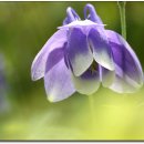 광주도자기엑스포장 이미지