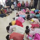 꿈의보람유치원 이미지