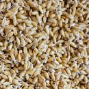 다이어트 결심하고 파로 효소 만들어 보았어요~~ 이미지