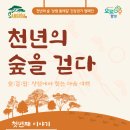 천년숲서로 이미지