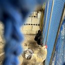 초록숲도서관 | 전주 평화동 카페 그리너리 및 학산 숲속 도서관 방문 후기 글!