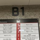 송천목장 | KT 대관령수련원 ㅣ 위치 좋고 편리했던 이용후기