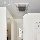 강남구 논현동 미용실 양미장원 가격 후기