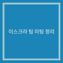 이스크라컨설팅 | 이스크라 팀 방향성 정리 (직접 미팅한 후기)