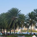 우렁찬태권도 이미지