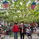 동심농장 이미지