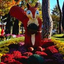 유림행정사 이미지