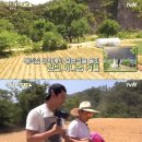 삼시세끼 - 칠곡군 | 삼시세끼