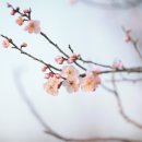 재개발 컨설팅 행정사 사무소 이미지