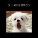 얌얌 이미지
