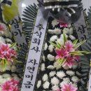주식회사 자연머금 네이버블로그