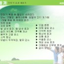 $$신이 내려준 최고의 선물,기적의모링가(말룬가이)암팔라야,바나바,구아바노,파우더팝니다. 이미지