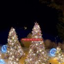 골든트리 이미지