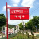 마리올라 | 신정호 대형카페가 질렸다면 수제 팥빙수가 있는 마리올라