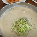 맛골 | 원주 콩국수 맛집 맛골칼국수 추천 내돈내산 후기