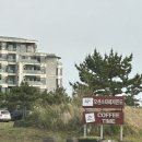 제주 동쪽 서귀포 성산일출봉 섭지코지 에어비엔비 숙소 1박 9만 원 오션스타 콘도 내돈내산