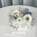목동케이크 케이크바오 생화레터링케이크 너무 예뻐