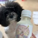 해동목장 | 강아지 산양유 | 언덕 위 산양목장 후기!