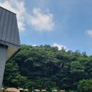 민수네흑염소
