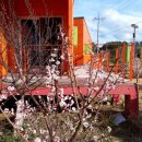 꽃잠 하우젠 이미지