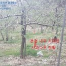 단천초 가산분교 이미지