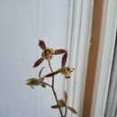 삼천포한옥집 이미지