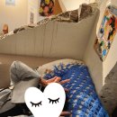 이문점현대자동차 | [포토덤프챌린지] 2024년 6월의 경 태 세 상(쌍사 브로콜리, 효자 루벤스, 철길숲 드롭탑 등등등등)