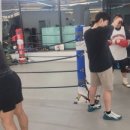 복싱 그 자체 이미지