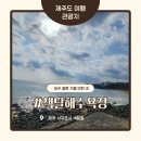 3384 | 제주 중문 가볼 만한 곳 색달해수욕장 후기｜엉덩물계곡 유채꽃 명소 코스