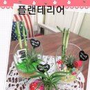 한빛마켓