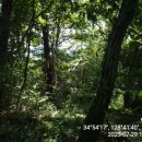 공설운동장 삼거리-우 이미지