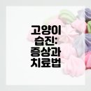 진동물병원 이미지