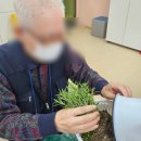 강화군치매안심센터 | 2025년 찾아가는 치유농업 프로그램_강화군남부치매안심센터1