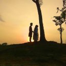 라노비아 이미지