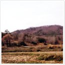 목령산성 이미지