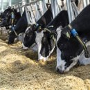 (주)농협사료 이미지