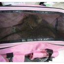 심재웅동물병원 이미지