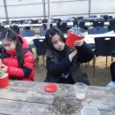 동덕초등학교 이미지