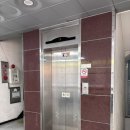 럽브로우 이미지