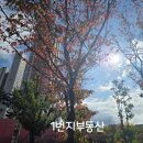 유니시티행복부동산중개사무소 이미지
