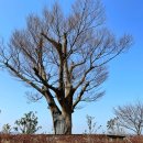 바람모아공원 이미지