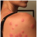 왕성세탁 이미지