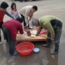 금당엄나무마을 이미지